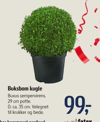 Føtex Ukendt planter tilbud