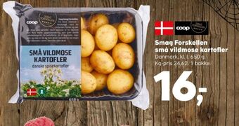 SuperBrugsen Smag forskellen kartofler tilbud