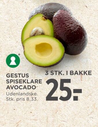 MENY Gestus avocado tilbud