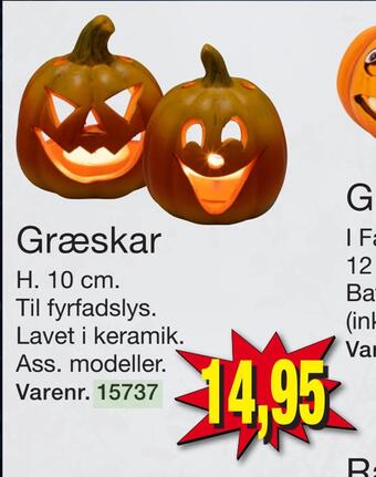 Harald Nyborg Græskar tilbud