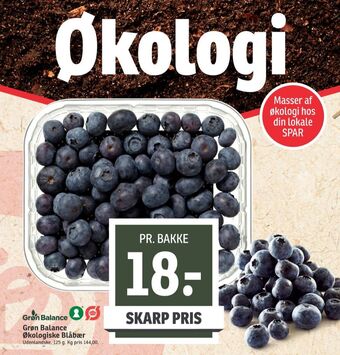 SPAR Grøn balance blåbær tilbud