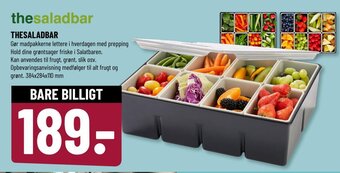 Løvbjerg THESALADBAR tilbud