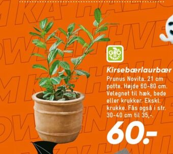Bilka Ukendt planter tilbud