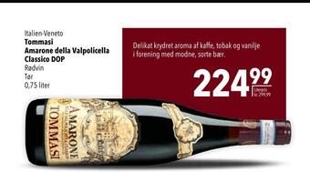 Citti Tommasi amarone della valpolicella classico dop tilbud