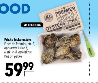 Friske irske østers