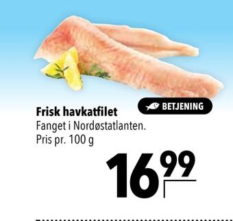Frisk havkatfilet