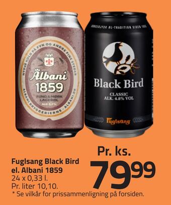 Fuglsang black bird el. albani 1859