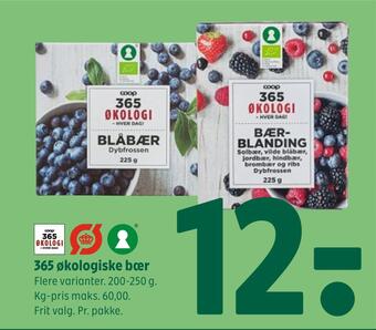 Coop 365 365 økologiske bær tilbud