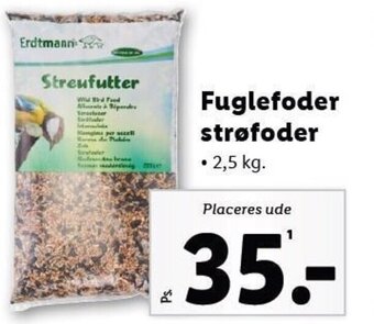 Fuglefoder strøfoder