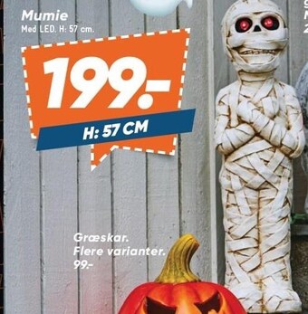 Bilka Mumie tilbud