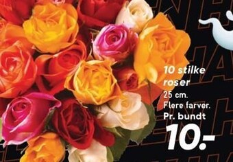Bilka 10 stilke roser tilbud