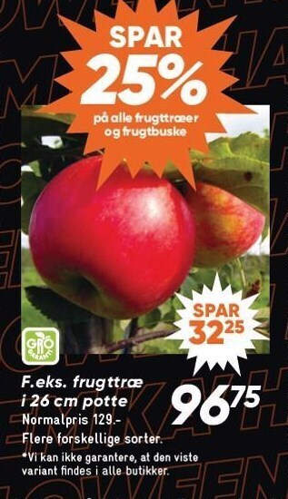 Bilka Spar 25% på alle frugttræer og frugtbuske tilbud