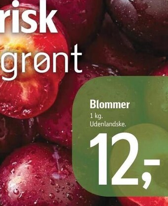 Føtex Blommer tilbud