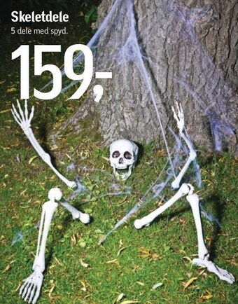 Føtex Skeletdele tilbud