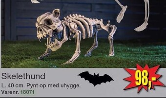 Harald Nyborg Skelethund tilbud