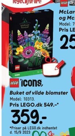 Buket af vilde blomster
