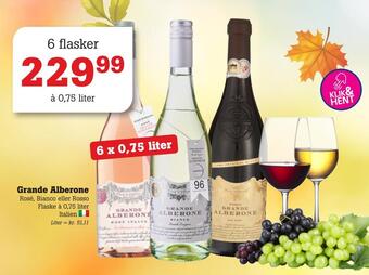 Poetzsch Padborg Grande alberone tilbud