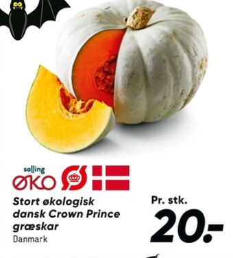 Bilka Salling øko græskar tilbud