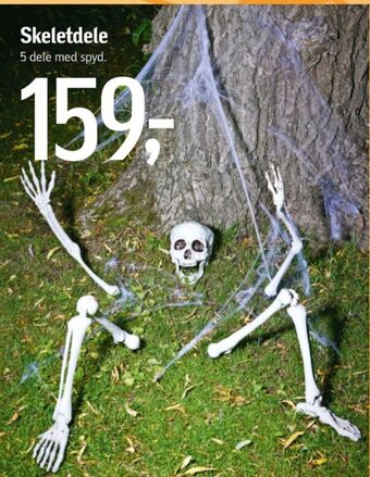 Føtex Ukendt halloweenpynt tilbud