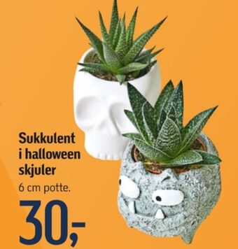 Føtex Ukendt planter tilbud