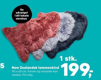 Kvickly Ukendt lammeskind tilbud