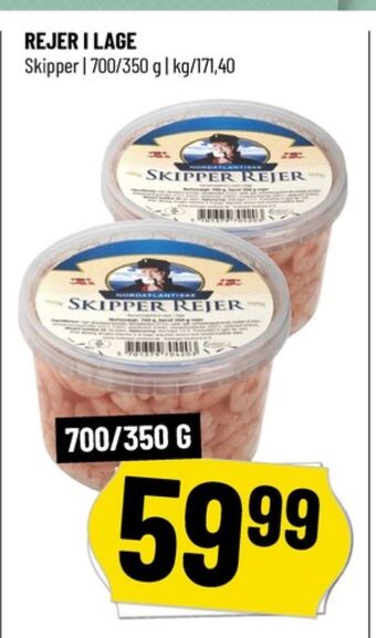 Skipper rejer