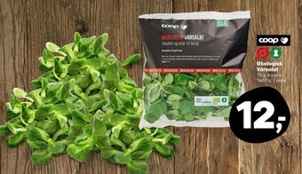 SuperBrugsen Coop c salat tilbud