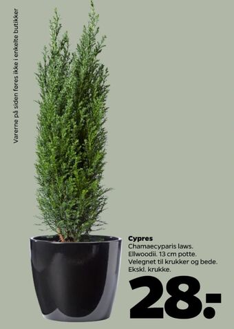 Netto Ukendt planter tilbud