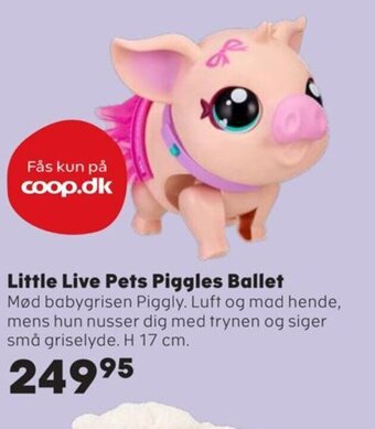 Little Live Pets Piggles Ballet