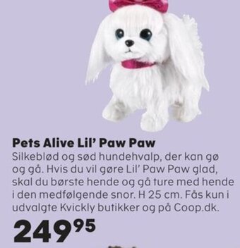 Kvickly Pets Alive Lil' Paw Paw tilbud