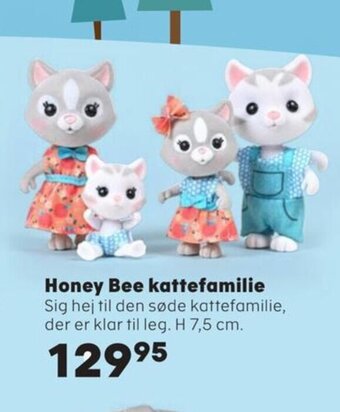 Honey Bee kattefamilie