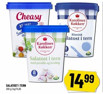 Løvbjerg SALATOST I TERN tilbud