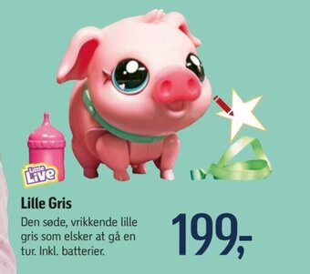 Lille Gris