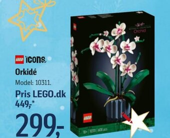 Føtex Orkidé tilbud