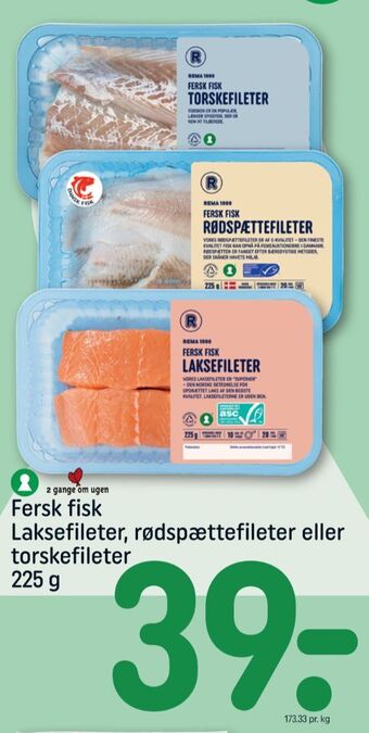 REMA 1000 Rema 1000 rødspættefilet tilbud
