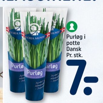 Gloria mundi krydderurter