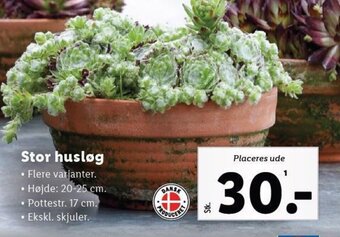 Lidl Stor husløg tilbud
