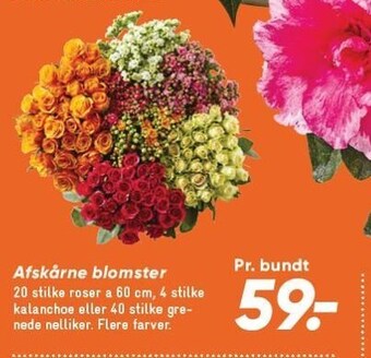 Bilka Afskårne blomster tilbud