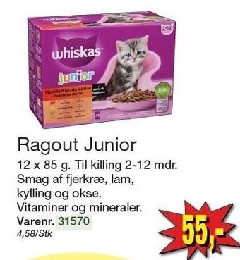 Ragout junior