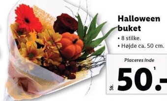 Lidl Halloween buket tilbud