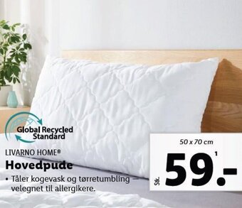 Lidl LIVARNO HOMEⓇ Hovedpude tilbud