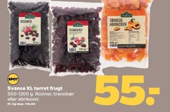 Netto Svanso XL tørret frugt tilbud