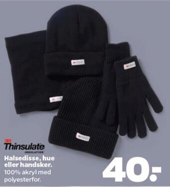 Netto Halsedisse, hue eller handsker tilbud