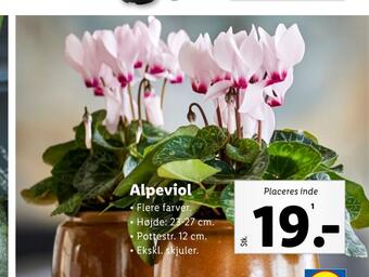 Lidl Alpeviol tilbud