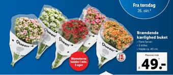 Lidl Brændende kærlighed buket tilbud