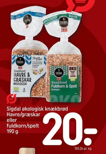 REMA 1000 Sigdal økologisk knækbrød havre/græskar eller fuldkorn/spelt tilbud