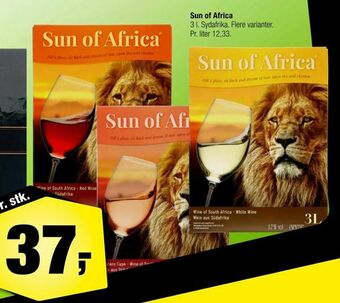 Calle Sun of Africa tilbud