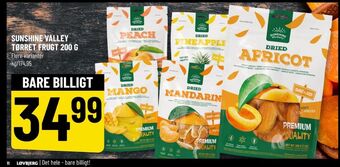 Løvbjerg Sunshine valley abrikoser tilbud