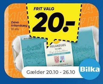 Frilandsæg, 10 stk