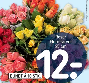 REMA 1000 Roser Flere farver 25 cm tilbud